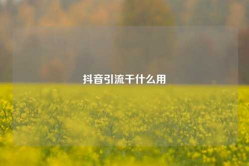 抖音引流干什么用