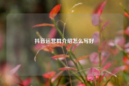抖音运营群介绍怎么写好