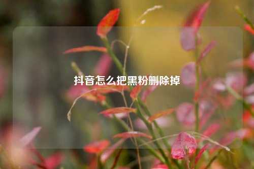 抖音怎么把黑粉删除掉