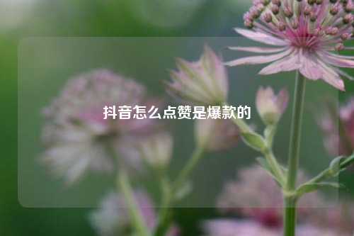 抖音怎么点赞是爆款的