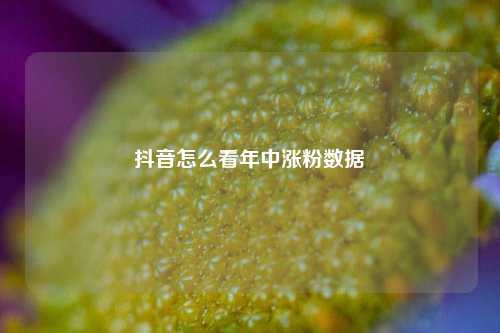 抖音怎么看年中涨粉数据