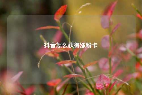 抖音怎么获得涨粉卡