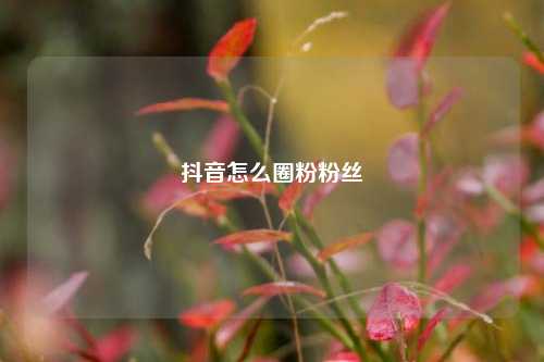 抖音怎么圈粉粉丝