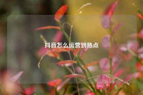 抖音怎么运营到热点