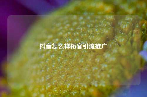抖音怎么样拓客引流推广