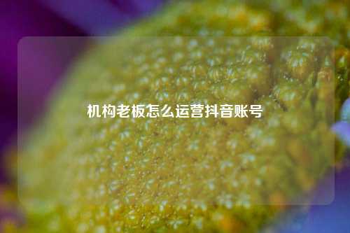 机构老板怎么运营抖音账号