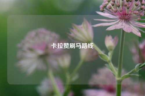 卡拉赞刷马路线