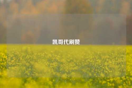 凯哥代刷赞