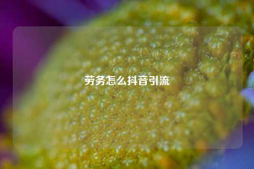 劳务怎么抖音引流