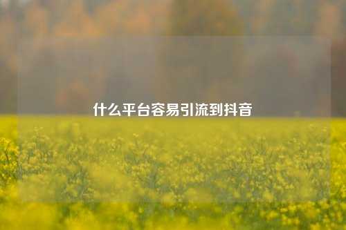 什么平台容易引流到抖音
