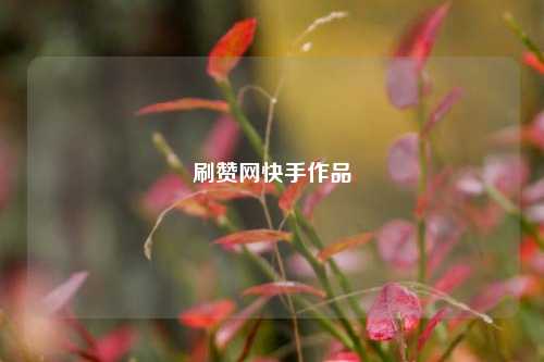 刷赞网快手作品