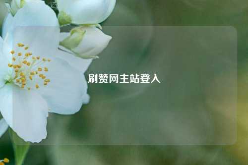 刷赞网主站登入