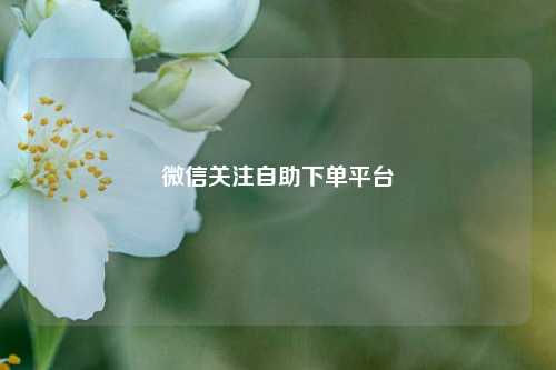 微信关注自助下单平台