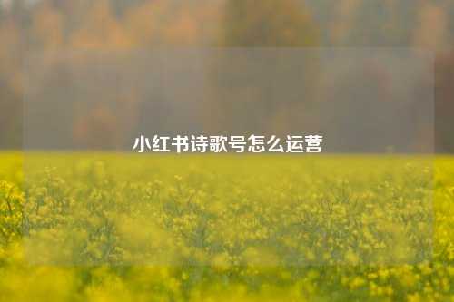 小红书诗歌号怎么运营